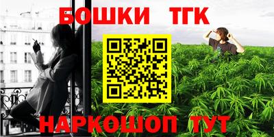 шишки Обь