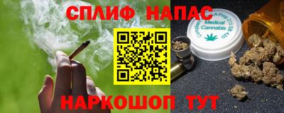шишки Обь
