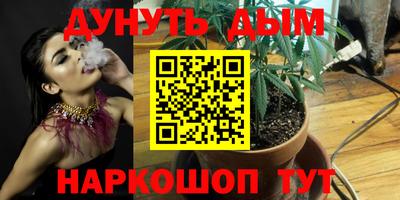 шишки Обь
